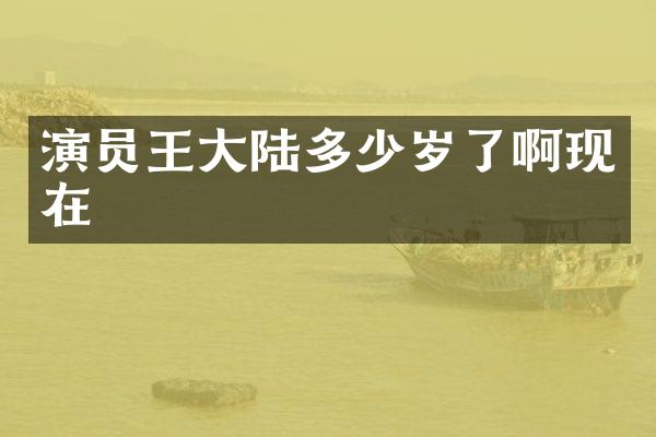 演员王大陆了啊现在