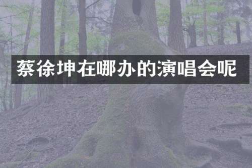 蔡徐坤在哪办的演唱会呢