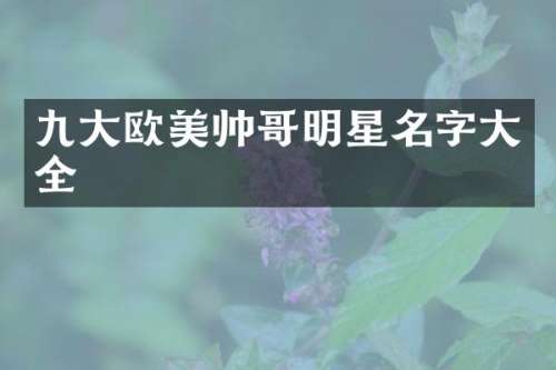 九大欧美帅哥明星名字大全