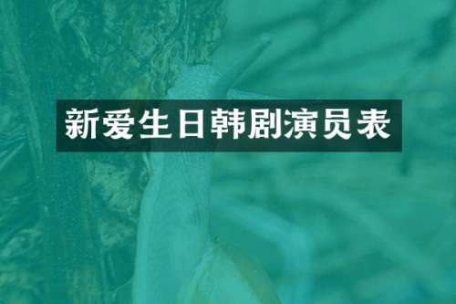 新爱生日韩剧演员表