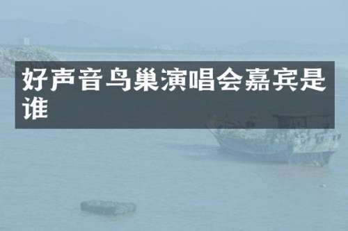 好声音鸟巢演唱会嘉宾是谁