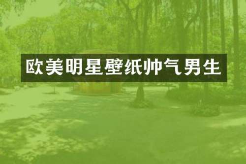欧美明星壁纸帅气男生