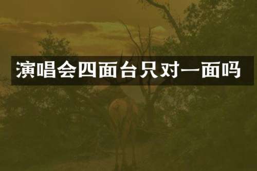 演唱会四面台只对一面吗