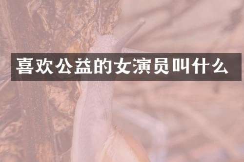 喜欢公益的女演员叫什么