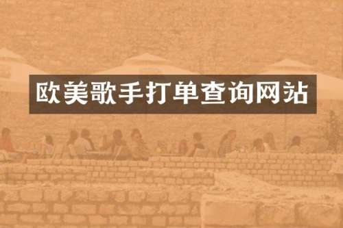 欧美歌手打单查询网站