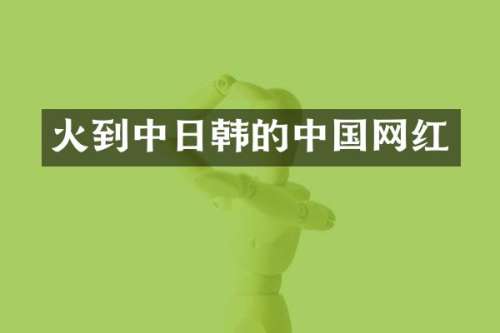 火到中日韩的中国网红