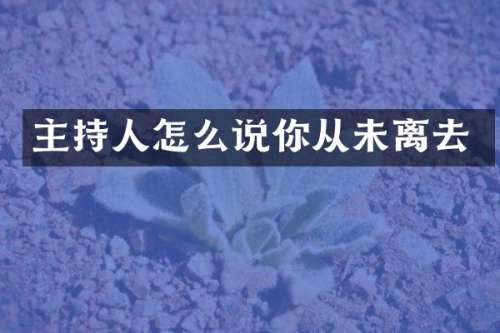 主持人怎么说你从未离去