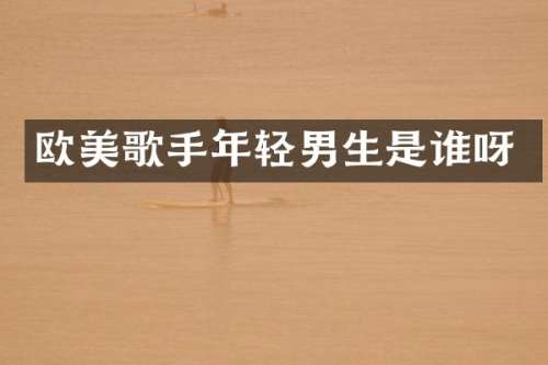 欧美歌手年轻男生是谁呀
