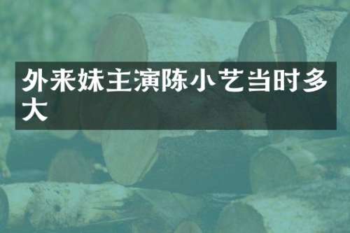 外来妹主演陈小艺当时多大
