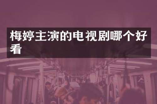 梅婷主演的电视剧哪个好看