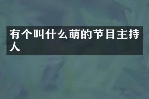 有个叫什么萌的节目主持人