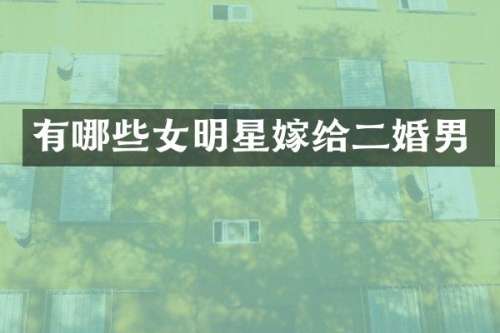 有哪些女明星嫁给二婚男