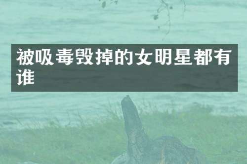 被吸毒毁掉的女明星都有谁