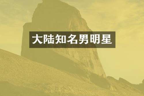 大陆知名男明星