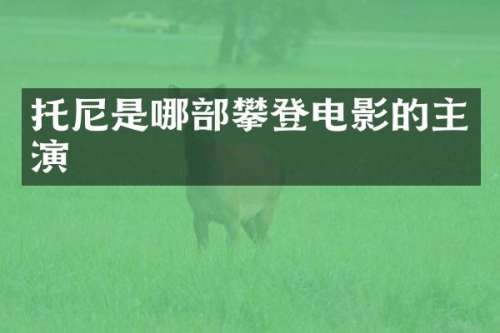 托尼是哪部攀登电影的主演