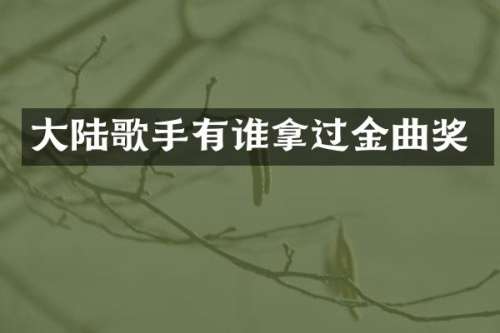 大陆歌手有谁拿过金曲奖