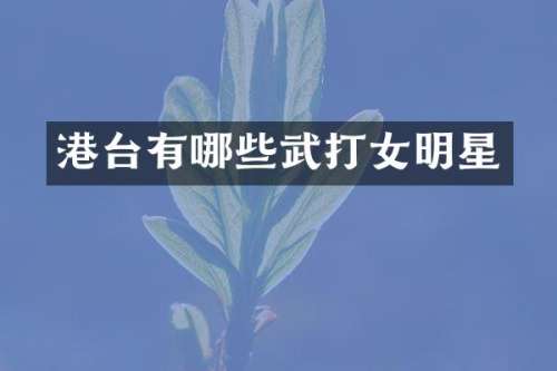 港台有哪些武打女明星