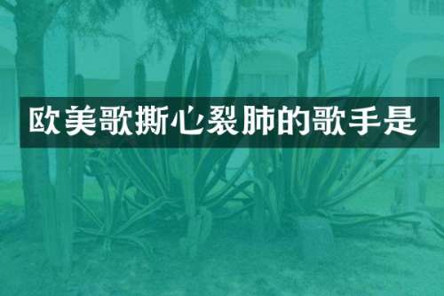 欧美歌撕心裂肺的歌手是