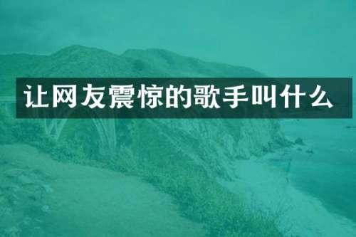 让网友震惊的歌手叫什么