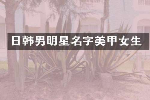 日韩男明星名字美甲女生