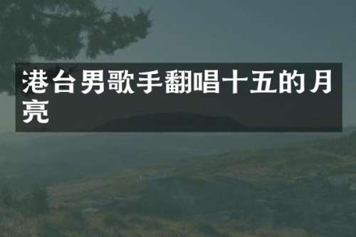 港台男歌手翻唱十五的月亮