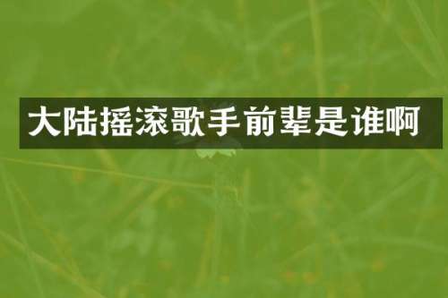大陆摇滚歌手前辈是谁啊