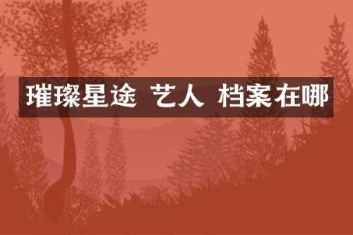 璀璨星途 艺人 档案在哪