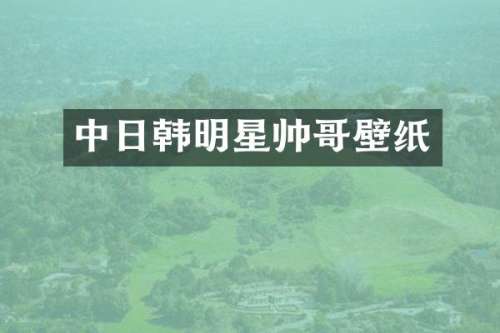 中日韩明星帅哥壁纸