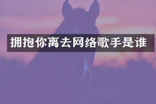 拥抱你离去网络歌手是谁