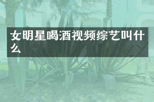 女明星喝酒视频综艺叫什么