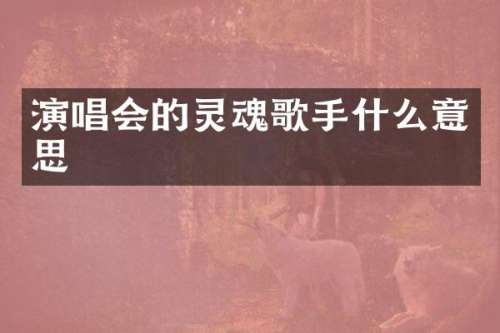 演唱会的灵魂歌手什么意思