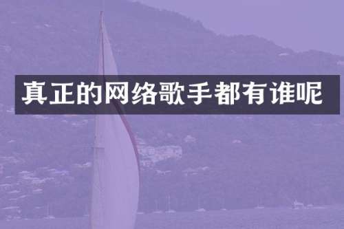真正的网络歌手都有谁呢