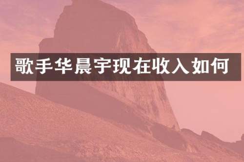 歌手华晨宇现在收入如何