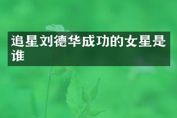 追星刘德华成功的女星是谁