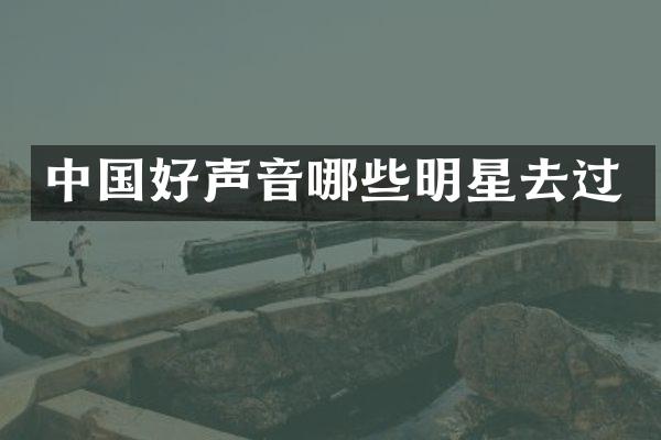 中国好声音哪些明星去过