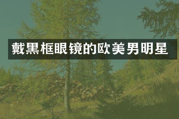 戴黑框眼镜的欧美男明星