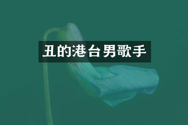 丑的港台男歌手
