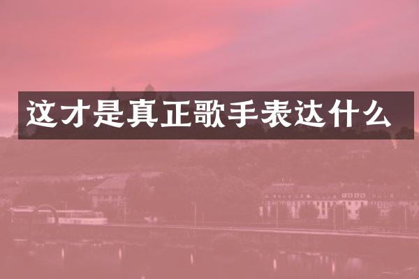 这才是真正歌手表达什么