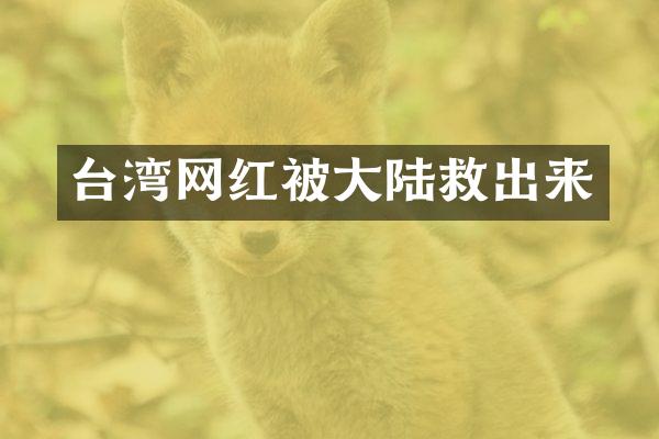台湾网红被大陆救出来