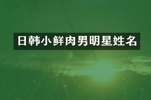 日韩小鲜肉男明星姓名