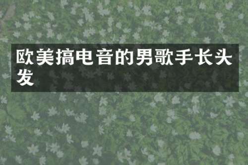 欧美搞电音的男歌手长头发