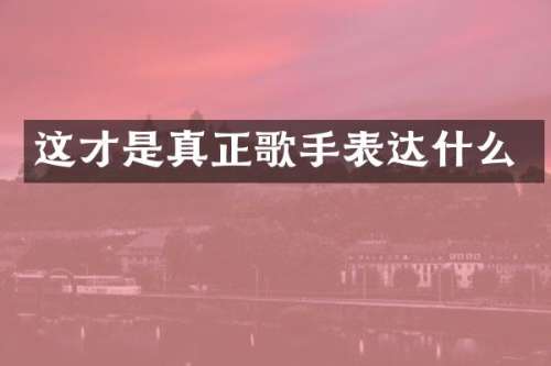 这才是真正歌手表达什么