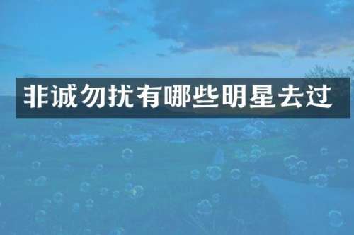 非诚勿扰有哪些明星去过