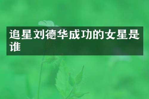 追星刘德华成功的女星是谁