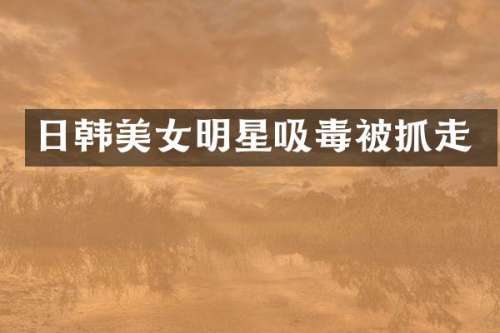 日韩明星吸毒被抓走