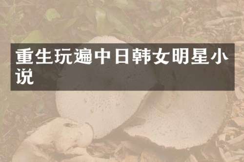 重生玩遍中日韩女明星小说