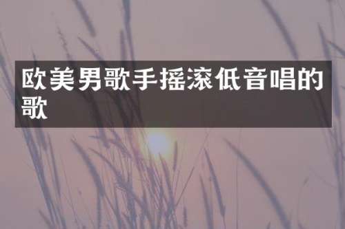 欧美男歌手摇滚低音唱的歌