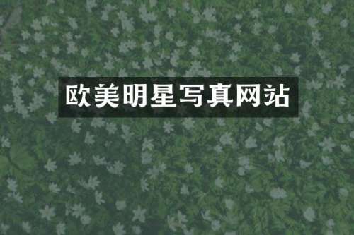 欧美明星写真网站