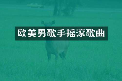 欧美男歌手摇滚歌曲