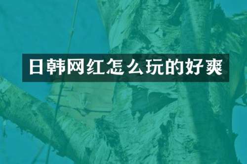 日韩网红怎么玩的好爽
